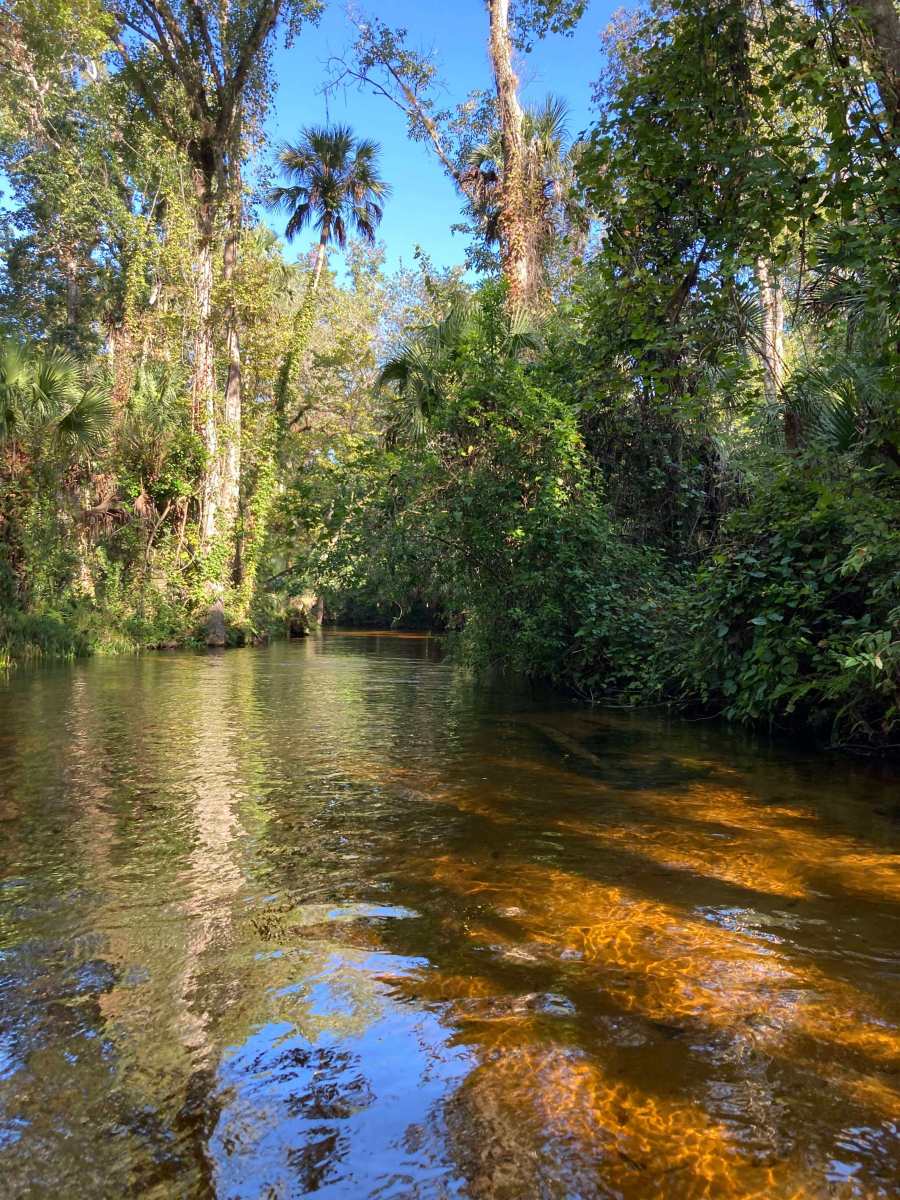 Kayaking in and near Cocoa Beach, Florida
