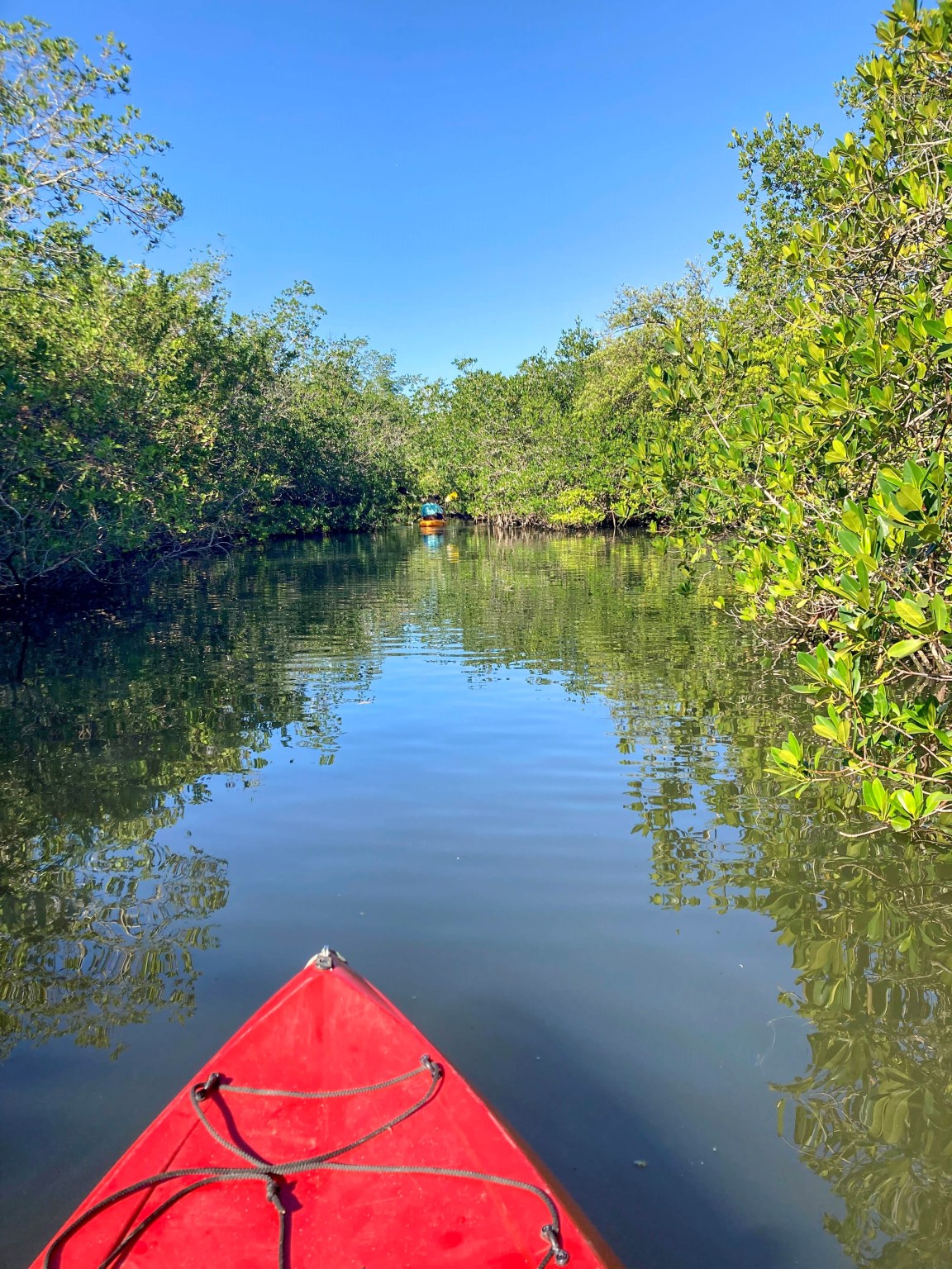 Kayaking in and near Cocoa Beach, Florida