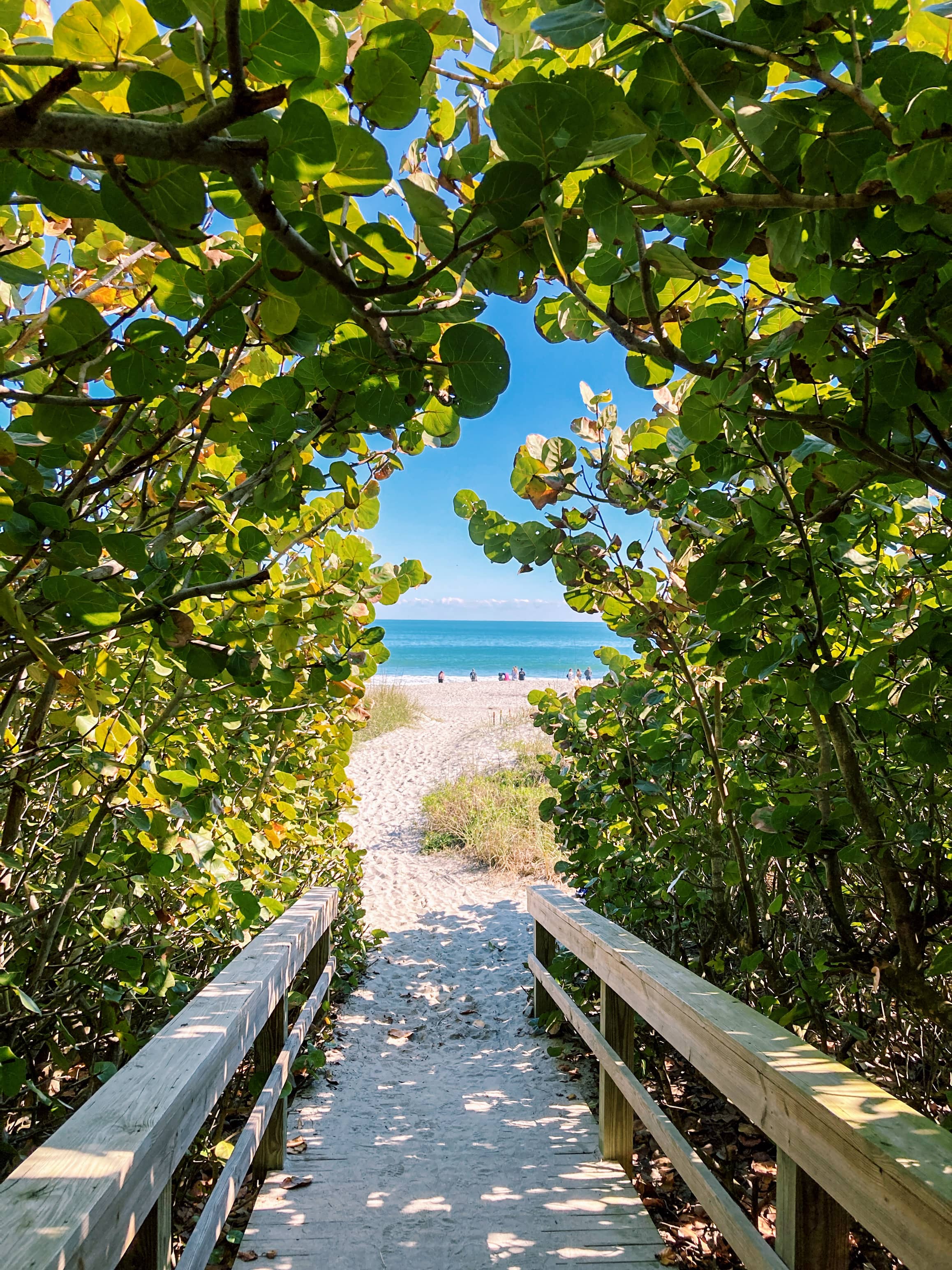 Picture‑Perfect Cocoa Beach: Best Photo Spots for Unforgettable Vacation Memories